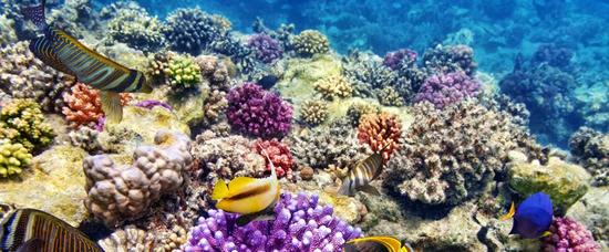 Viajes a Mahibadhoo