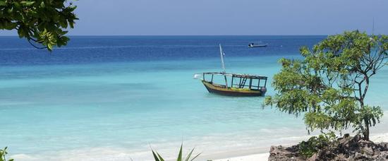Viajes a Mdudu Mdogo