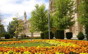 Jardines