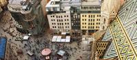 Viena