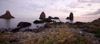 Catania