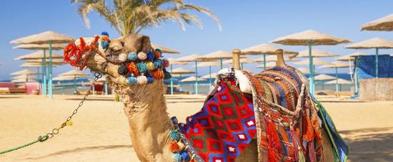Viajes a Hurghada
