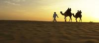 Emiratos �rabes