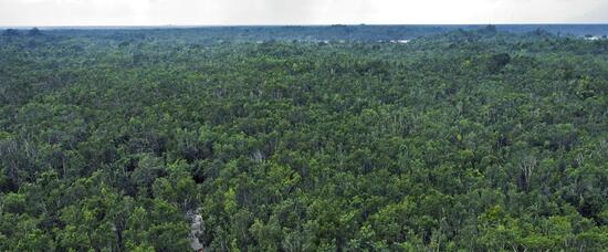 Viajes a Coba