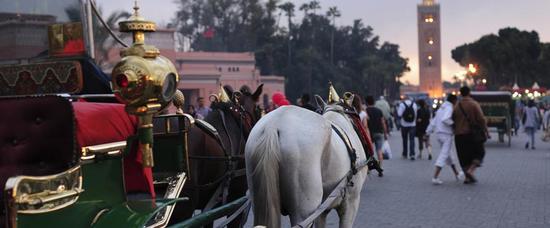 Viajes a Marrakech