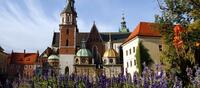 Cracovia