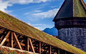 Lucerna