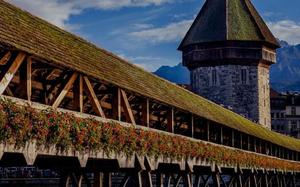 Lucerna