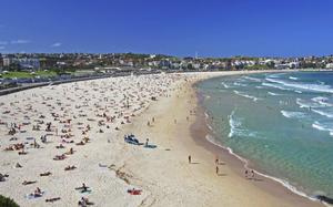 Bondi Beach