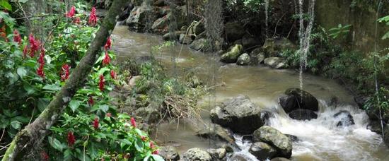 Viajes a Bucaramanga