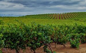 La Rioja
