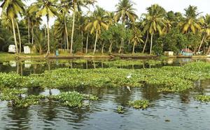 Paisaje de Kumarakom