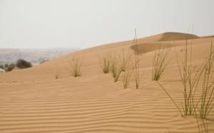 Fujairah