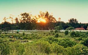 Puesta de Sol