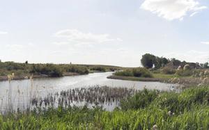 Tablas de Daimiel