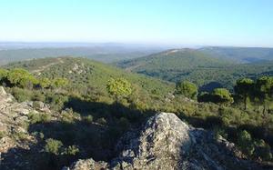 Horcajo de los Montes