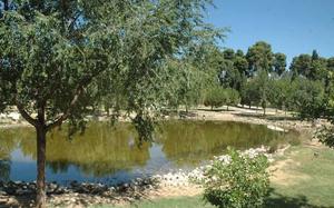Azuqueca de Henares