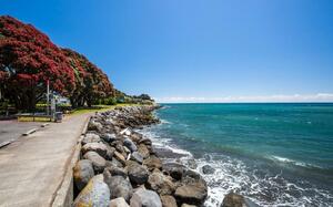 New Plymouth