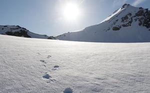 Panticosa