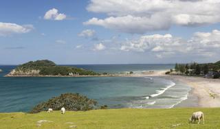 Tauranga
