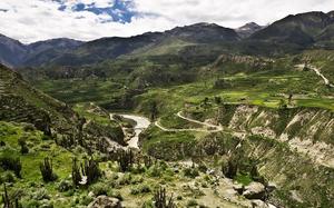 Colca