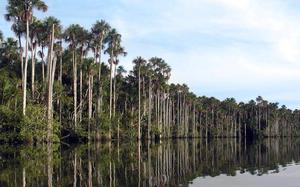 Puerto Maldonado