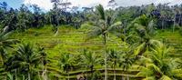 Indonesia