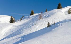 Vars