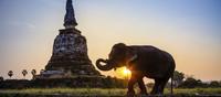 Tailandia