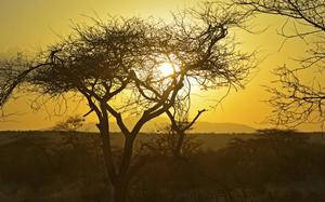 Sabana de Samburu al atardecer