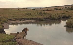 Parque Nacional de Masai Mara