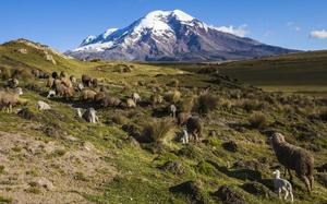 Volc�n Chimborazo