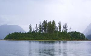 Parque provincial de Strathcona, en la Isla de Vancouver