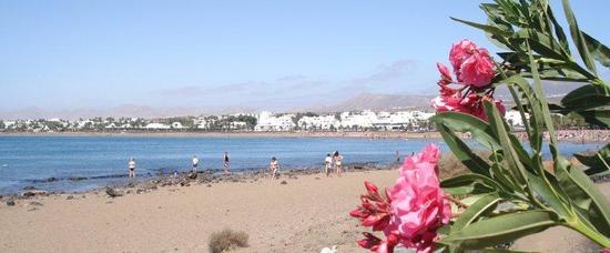 Viajes a Playa de los Pocillos