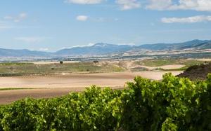 Banyeres