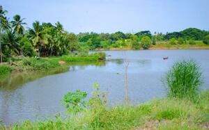 Mangalore