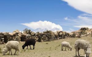 Lago Titicaca
