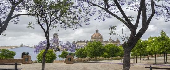 Viajes a Jerez de la Frontera