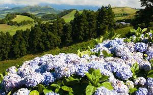 Paisaje Azores