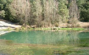 Pedret