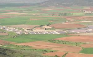Salinas