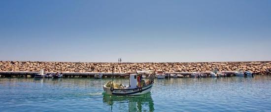 Viajes a Estepona