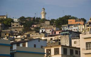 faro