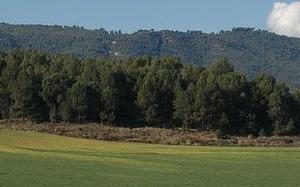Manresa