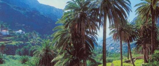 Viajes a San Sebasti?n de la Gomera