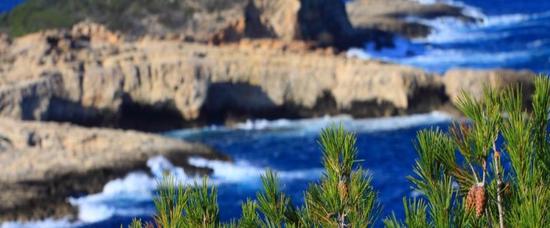 Viajes a Cala Llenya