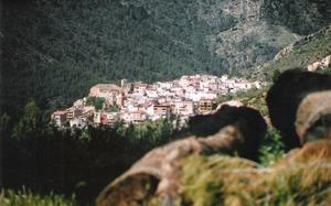 Bogarra