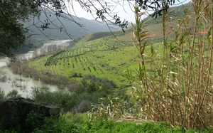 Parque Natural de las Arribes del Duero