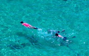 Snorkel