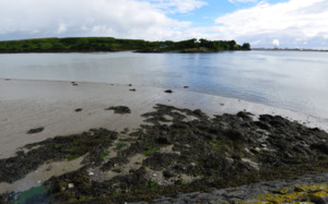 Foynes